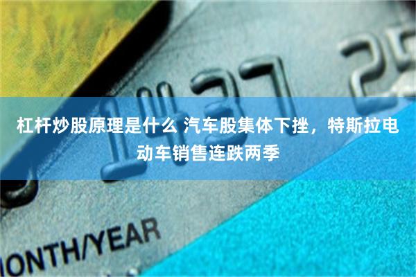 杠杆炒股原理是什么 汽车股集体下挫，特斯拉电动车销售连跌两季