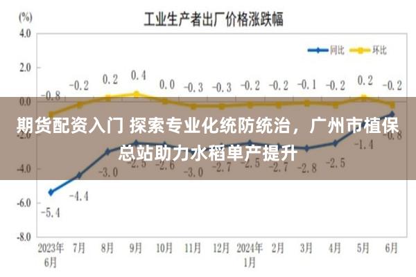 期货配资入门 探索专业化统防统治，广州市植保总站助力水稻单产提升