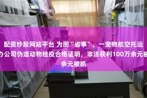 配资炒股网站平台 为图“省事”，一宠物航空托运代办公司伪造动物检疫合格证明，非法获利100万余元被抓
