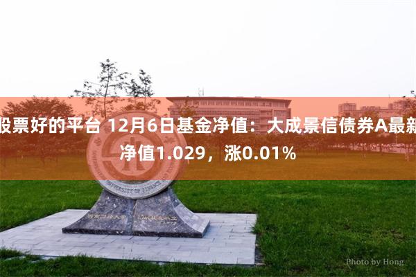 股票好的平台 12月6日基金净值：大成景信债券A最新净值1.029，涨0.01%