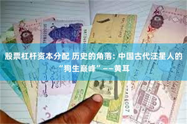 股票杠杆资本分配 历史的角落: 中国古代汪星人的“狗生巅峰”——黄耳