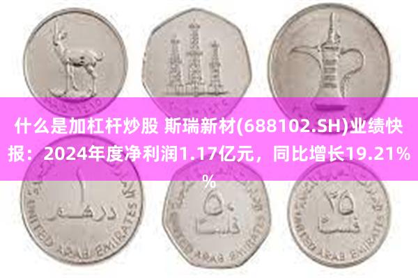 什么是加杠杆炒股 斯瑞新材(688102.SH)业绩快报：2024年度净利润1.17亿元，同比增长19.21%