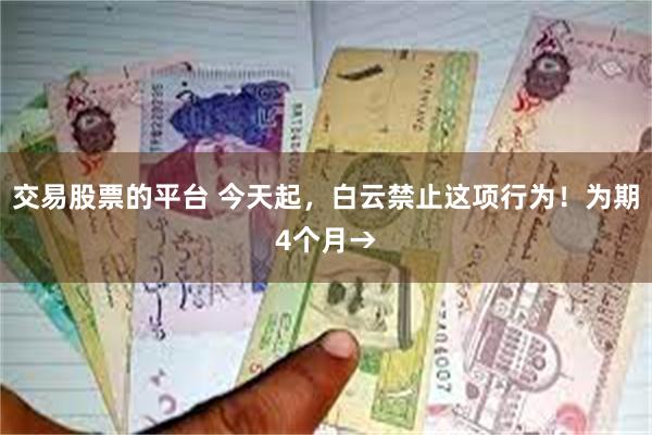 交易股票的平台 今天起，白云禁止这项行为！为期4个月→