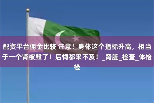 配资平台佣金比较 注意！身体这个指标升高，相当于一个肾被毁了！后悔都来不及！_肾脏_检查_体检