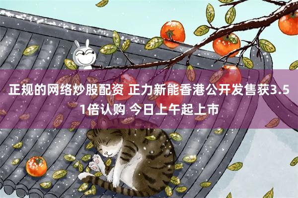正规的网络炒股配资 正力新能香港公开发售获3.51倍认购 今日上午起上市