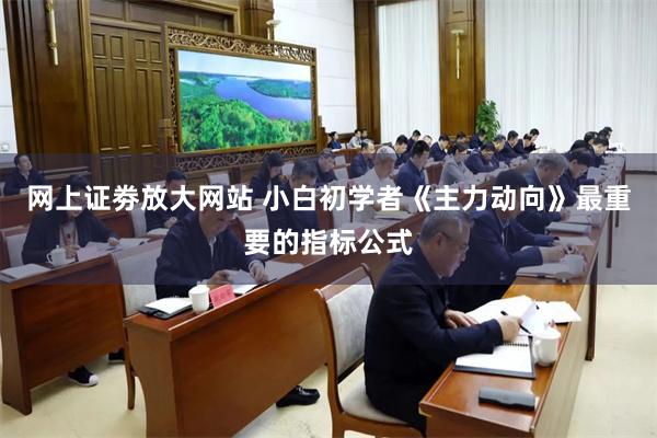网上证劵放大网站 小白初学者《主力动向》最重要的指标公式