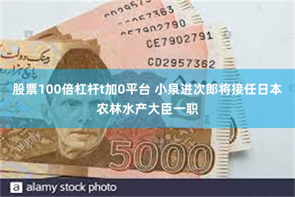 股票100倍杠杆t加0平台 小泉进次郎将接任日本农林水产大臣一职