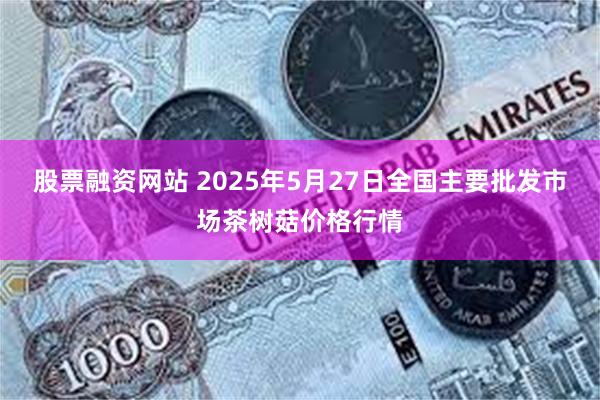 股票融资网站 2025年5月27日全国主要批发市场茶树菇价格行情