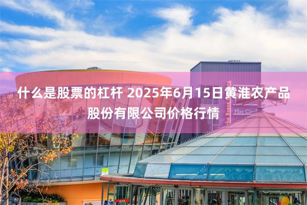 什么是股票的杠杆 2025年6月15日黄淮农产品股份有限公司价格行情