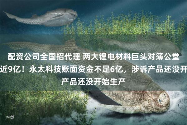 配资公司全国招代理 两大锂电材料巨头对簿公堂，索赔近9亿！永太科技账面资金不足6亿，涉诉产品还没开始生产