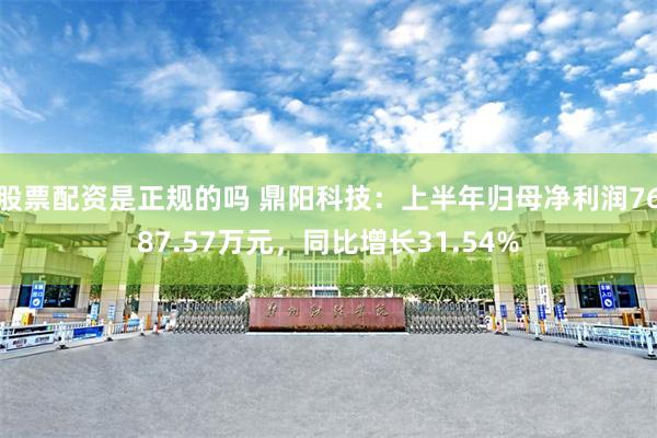 股票配资是正规的吗 鼎阳科技：上半年归母净利润7687.57万元，同比增长31.54%
