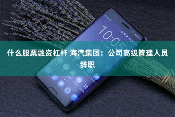 什么股票融资杠杆 海汽集团：公司高级管理人员辞职