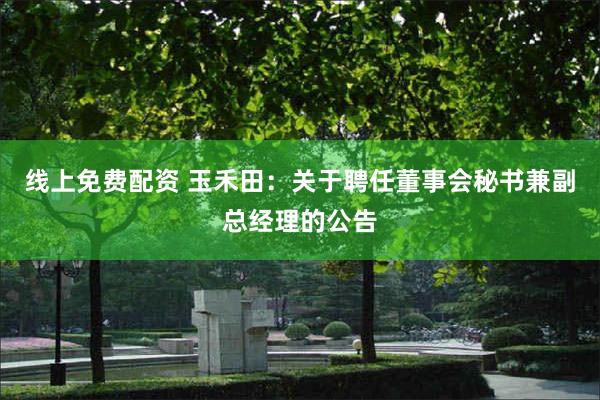 线上免费配资 玉禾田：关于聘任董事会秘书兼副总经理的公告