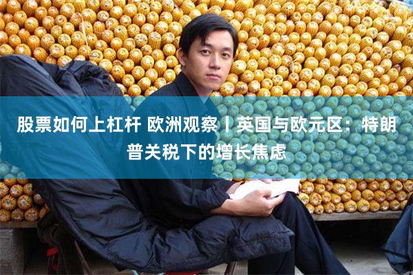 股票如何上杠杆 欧洲观察丨英国与欧元区：特朗普关税下的增长焦虑